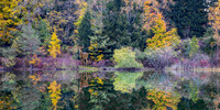 Crego Park, Lansing, MI
