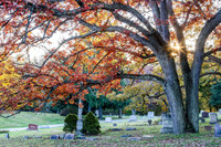 Mt. Hope Cemetery, Lansing, fall 2015
