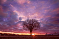 Winter Sunrise
