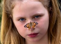 Michigan State University Butterfly Garden