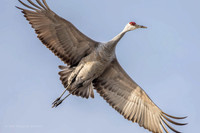 Flyover