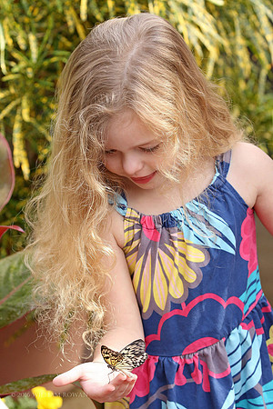 Dow Gardens Butterfly Garden