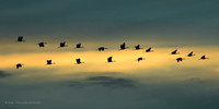Flying in to the Bellevue Sanctuary