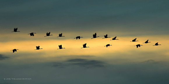 Flying in to the Bellevue Sanctuary