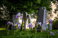 Mid-Michigan Cemeteries